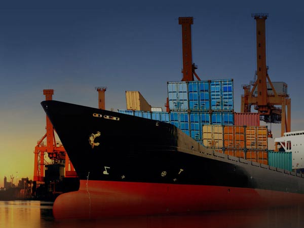 Import Export Course